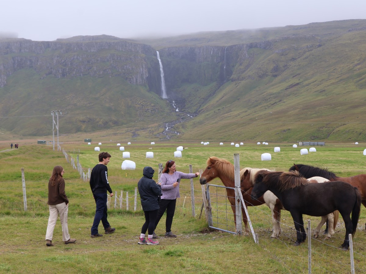 Iceland Day 13 (Aug. 19, 2025): Goodbye to Snaefellsnes Peninsula; Grundarfoss; and one last hot spring before trekking back to&nbsp;Reykjavik.