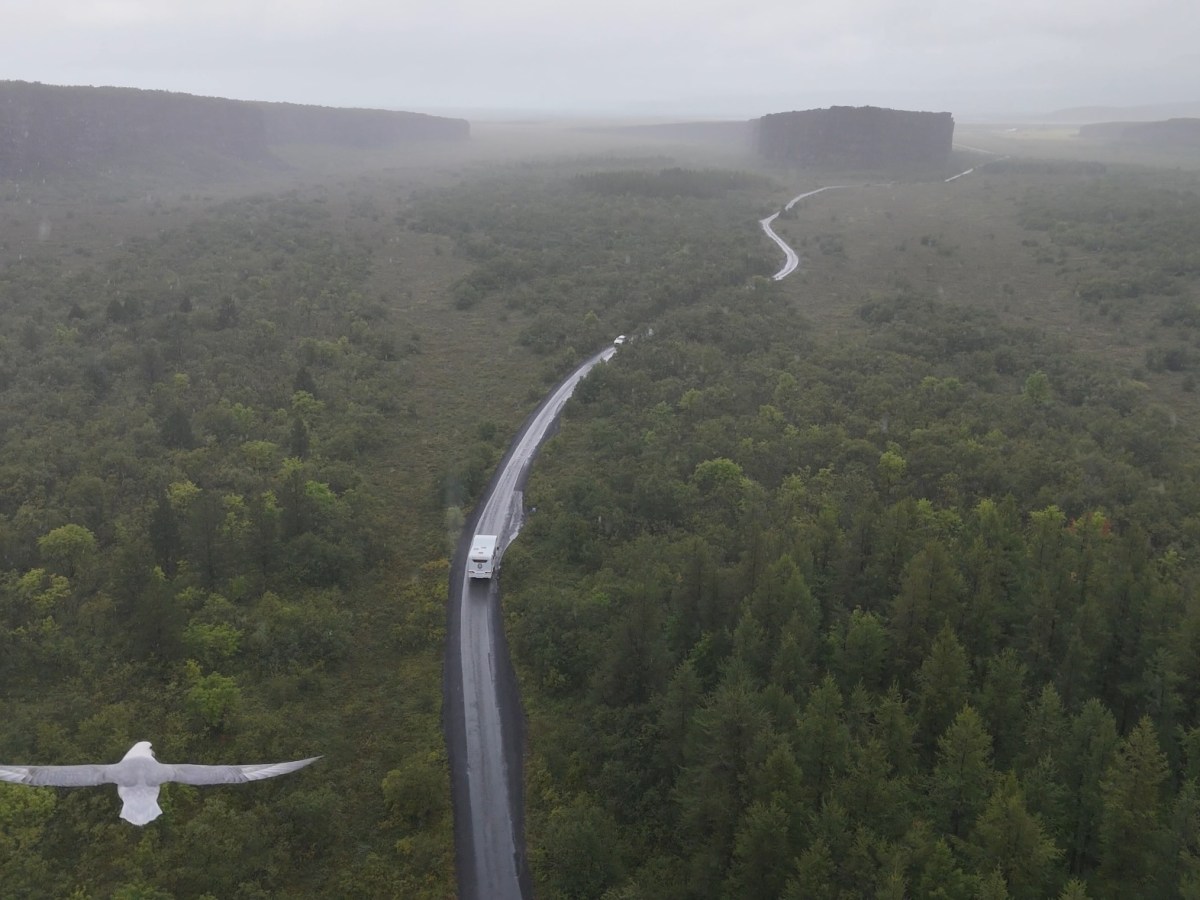 Iceland Day 8 (Aug. 14, 2025): Asbyrgi canyon, puffins, Husavik, tunnels, and&nbsp;Akureyri